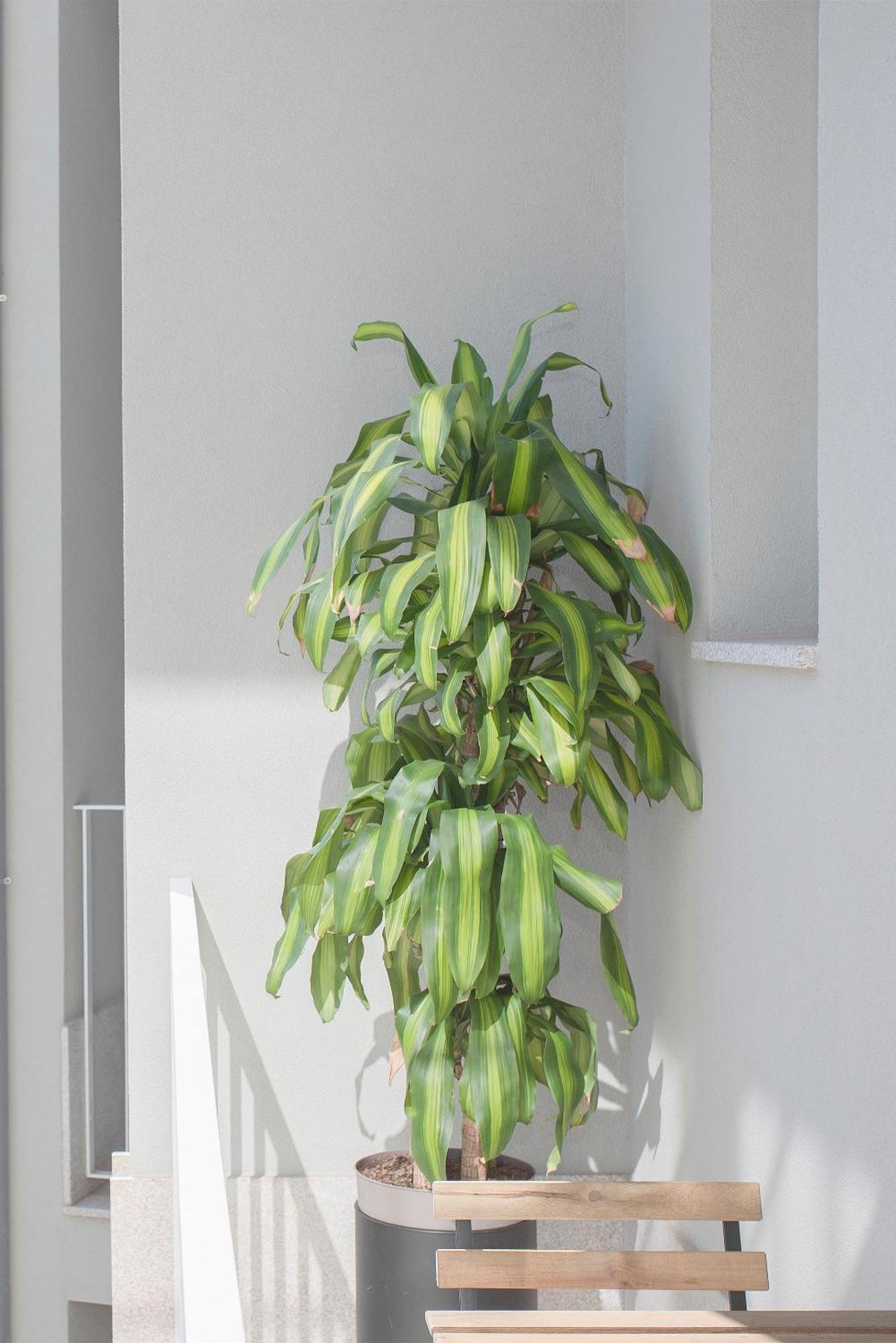 Liiiving In Porto - Art Design Apartment المظهر الخارجي الصورة